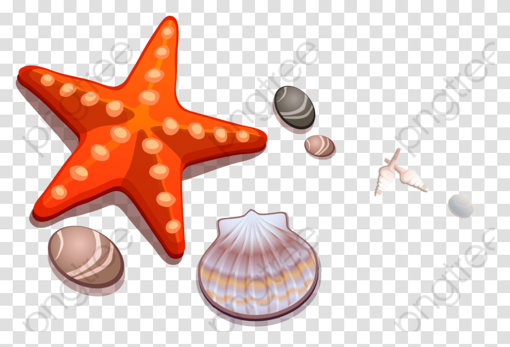 White Starfish Starfish And Shell Clipart, Sea Life, Animal, Invertebrate, Clam Transparent Png