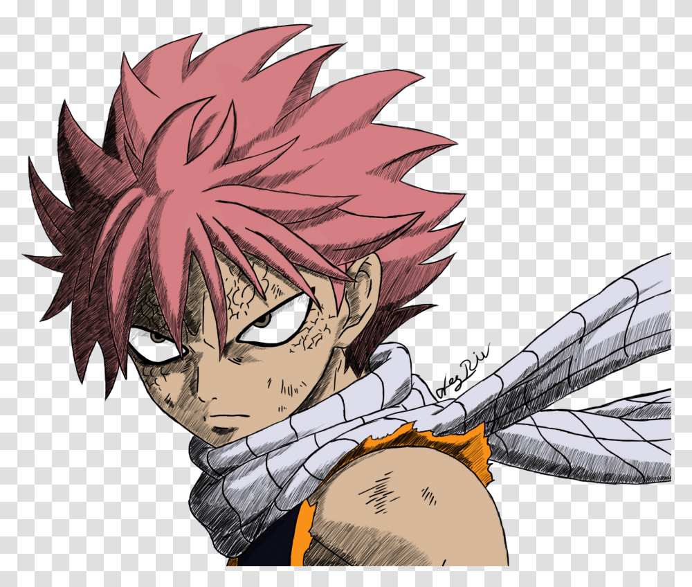 White Stock Fairy Tail Drawing Drawing Anime Natsu Fairy Tail, Comics, Book, Manga, Insect Transparent Png