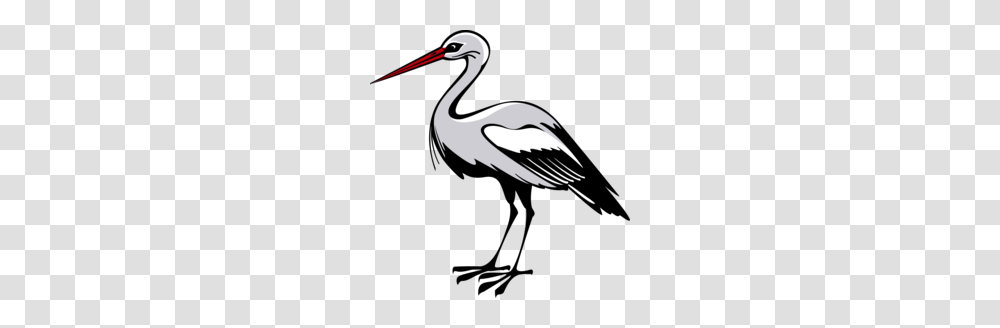 White Stork Clipart, Bird, Animal, Waterfowl, Crane Bird Transparent Png