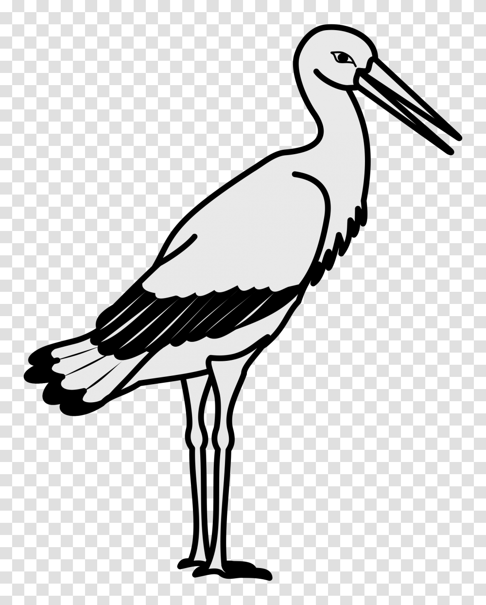 White Stork Crane Bird Clip Art, Animal, Pelican, Vulture Transparent Png