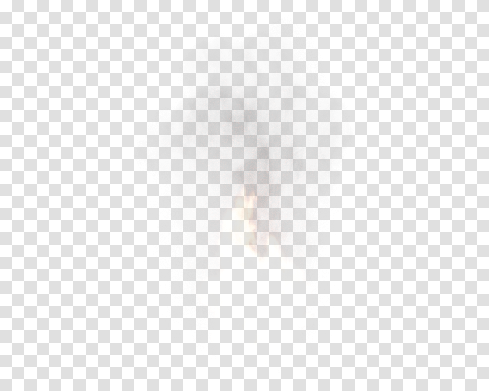 White Stork, Fire, Bonfire, Flame Transparent Png