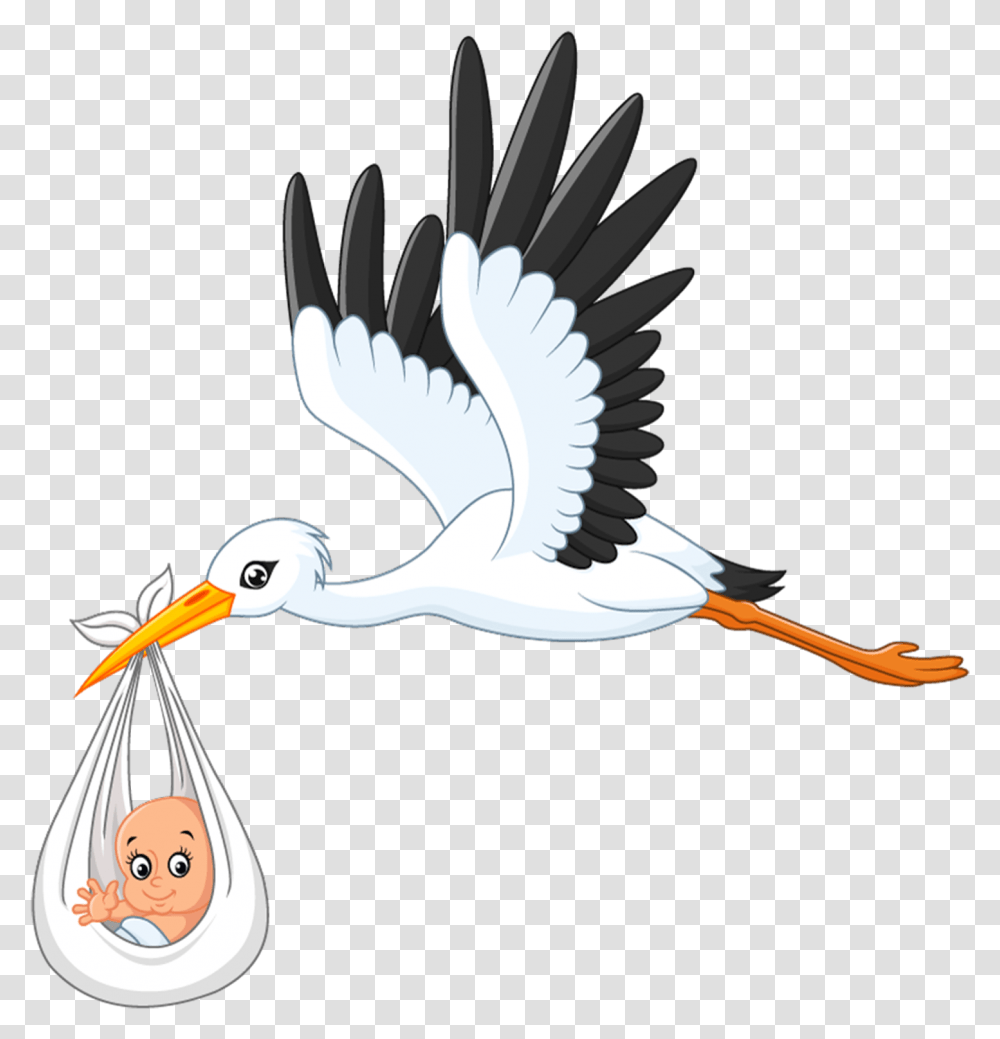 White Stork Infant Clip Art Stork Cartoon Flying, Waterfowl, Bird, Animal, Crane Bird Transparent Png