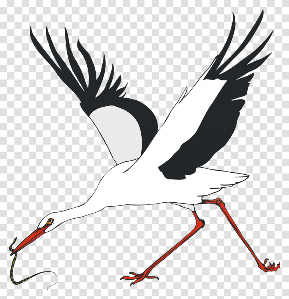 White Stork Water Bird Crane Stork Download 1158 White Stork, Animal, Person, Human, Crane Bird Transparent Png
