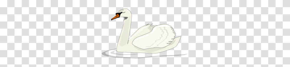 White Swan Clip Art, Animal, Bird, Goose, Waterfowl Transparent Png