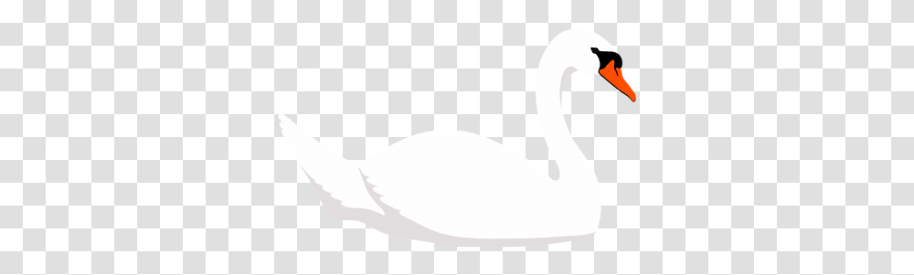 White Swan Icon, Bird, Animal, Waterfowl Transparent Png