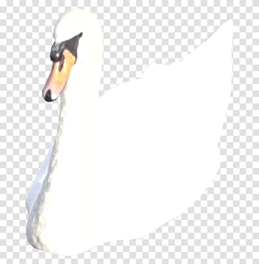 White Swan No Background Tundra Swan, Bird, Animal, Person, Human Transparent Png
