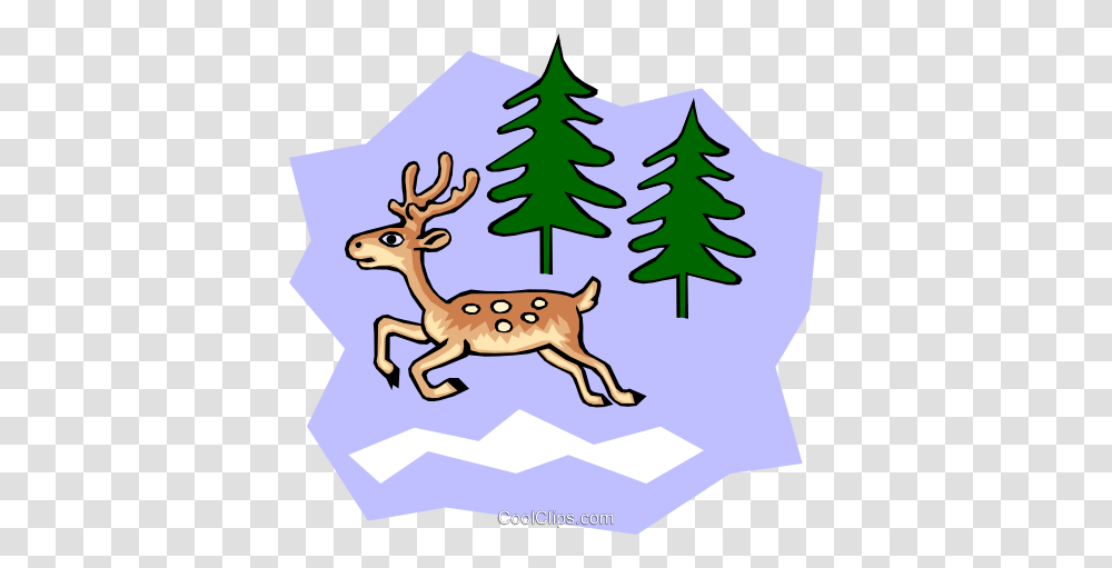 White Tailed Cartoon Deer Royalty Free Vector Clip Art, Wildlife, Mammal, Animal, Plant Transparent Png