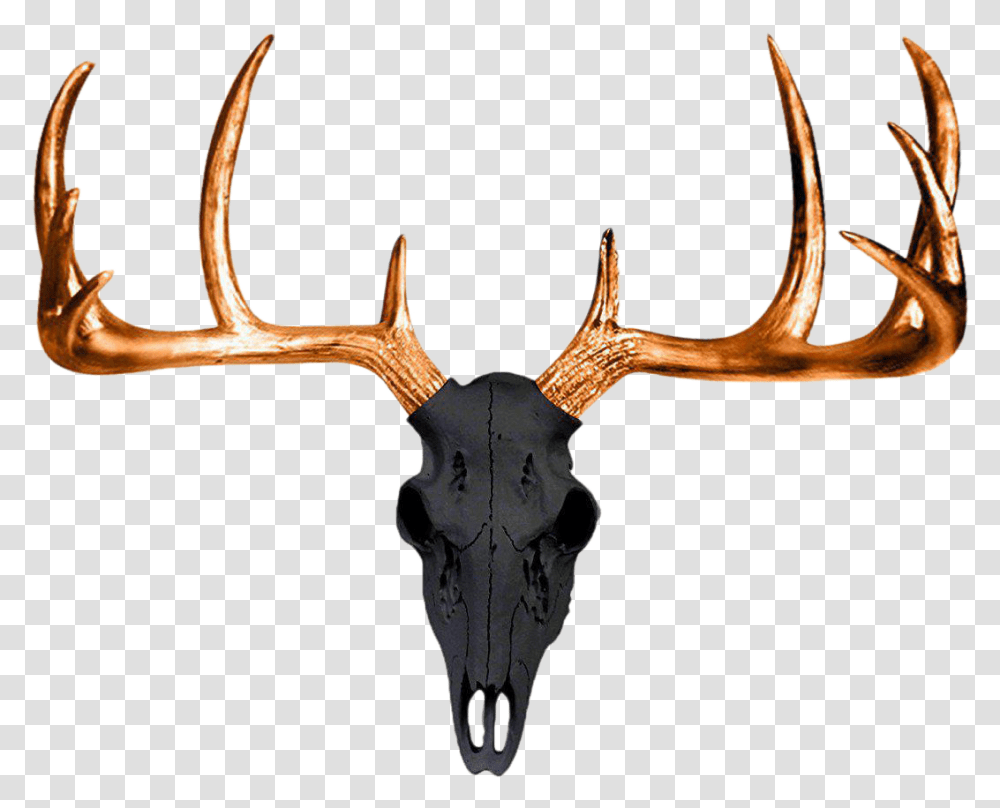 White Tailed Deer Antler Wall Decal Skull Faux Deer Skull, Antelope, Wildlife, Mammal, Animal Transparent Png