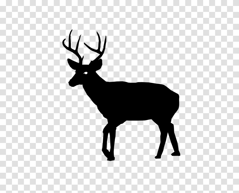 White Tailed Deer Art, Gray, World Of Warcraft Transparent Png