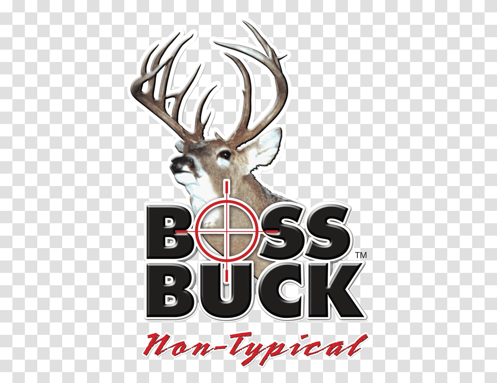 White Tailed Deer Boss Buck Deer Hunting Boss Buck, Antler, Wildlife, Mammal, Animal Transparent Png
