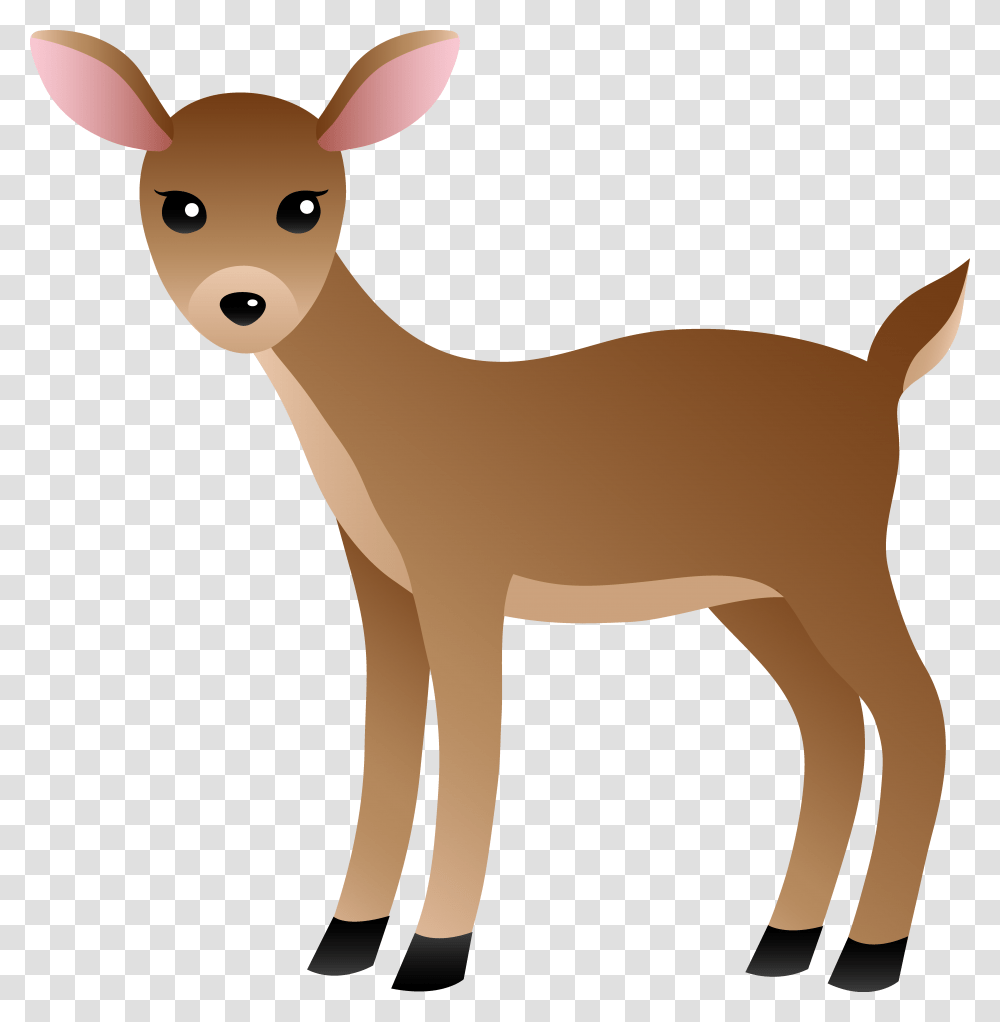 White Tailed Deer Clipart, Wildlife, Mammal, Animal, Antelope Transparent Png