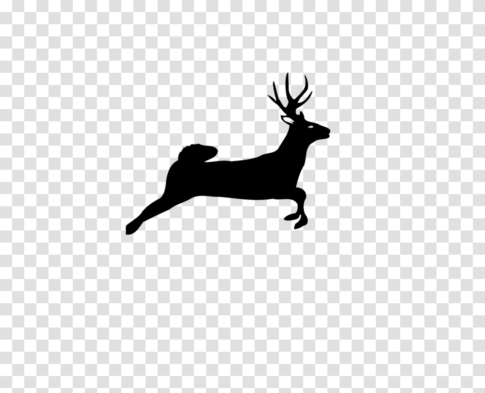 White Tailed Deer Horse Moose Show Jumping, Gray, World Of Warcraft Transparent Png
