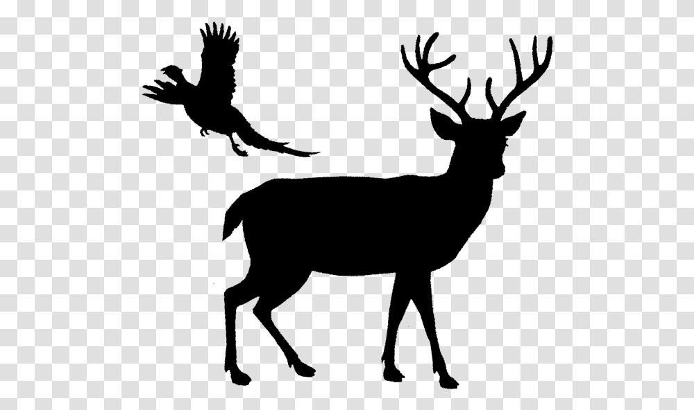 White Tailed Deer Reindeer Elk Deer Silhouette, Gray, World Of Warcraft Transparent Png
