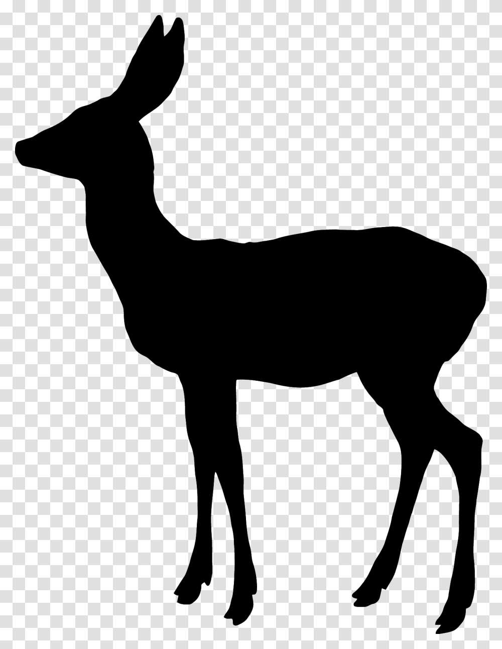White Tailed Deer Reindeer Elk Moose Christmas Girl Silhouette, Alphabet, Word Transparent Png