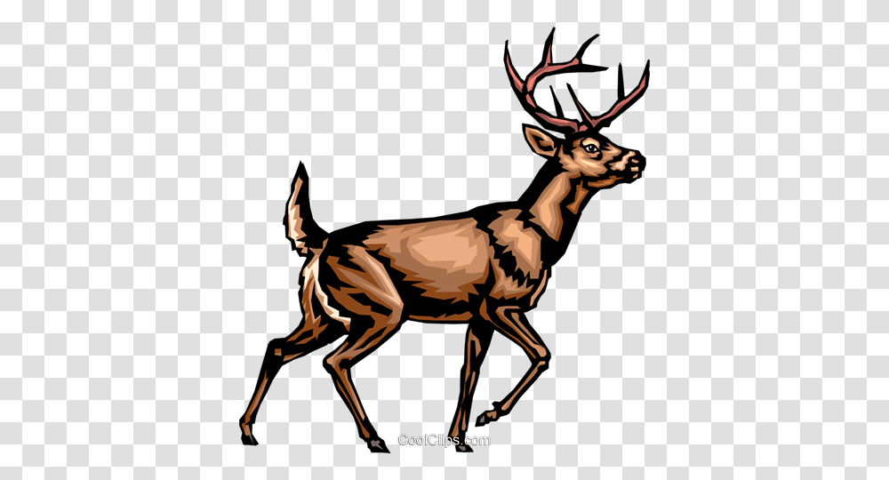 White Tailed Deer Royalty Free Vector Clip Art Illustration, Elk, Wildlife, Mammal, Animal Transparent Png