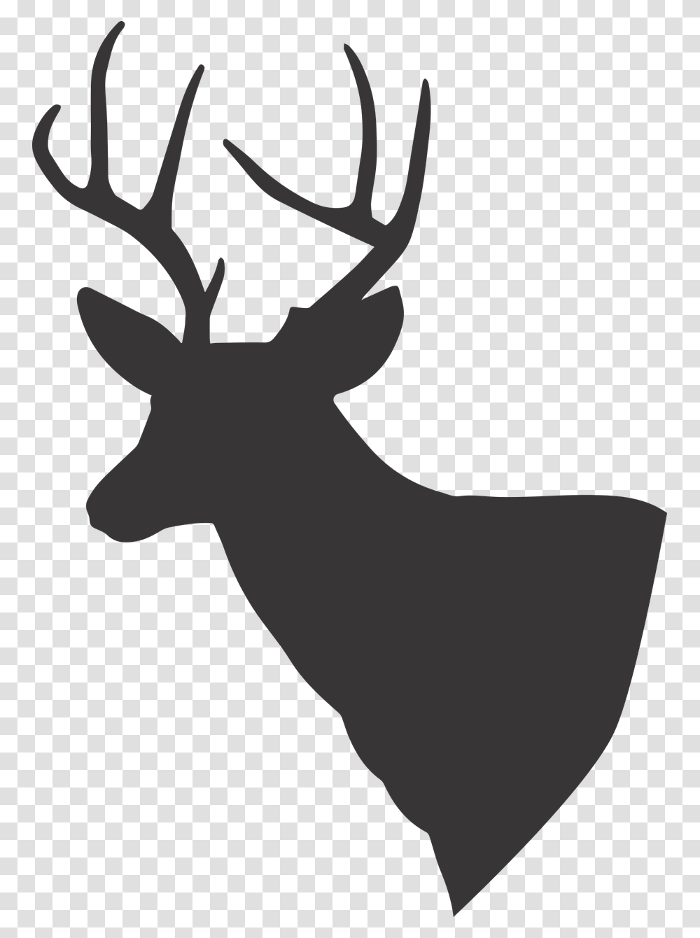 White Tailed Deer Vector, Elk, Wildlife, Mammal, Animal Transparent Png