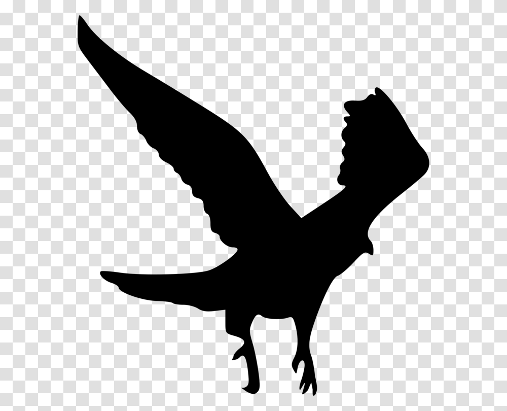 White Tailed Eagle Bald Eagle Bird Silhouette, Gray, World Of Warcraft Transparent Png