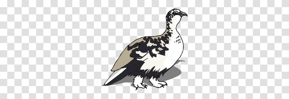 White Tailed Ptarmigan Clip Art, Bird, Animal, Vulture, Grouse Transparent Png