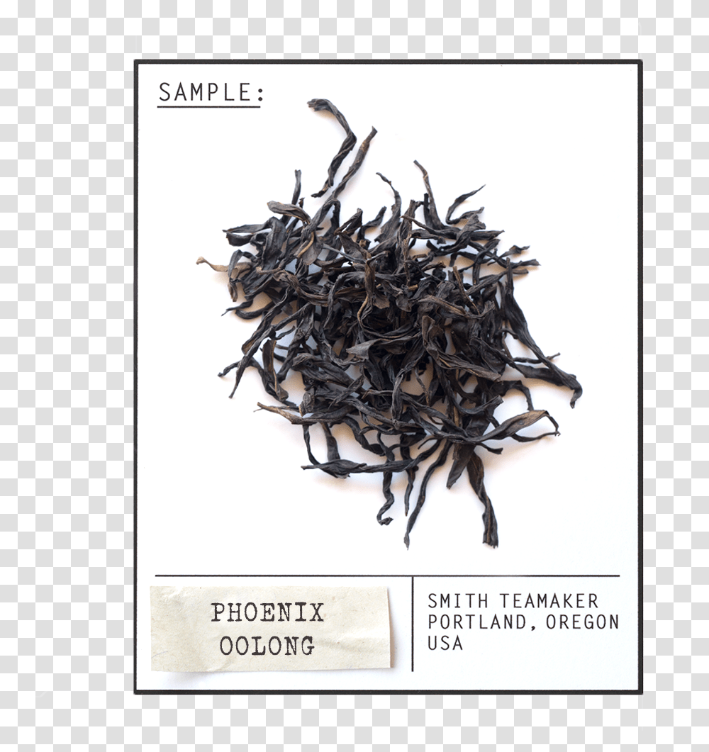 White Tea, Paper, Plant, Poster Transparent Png