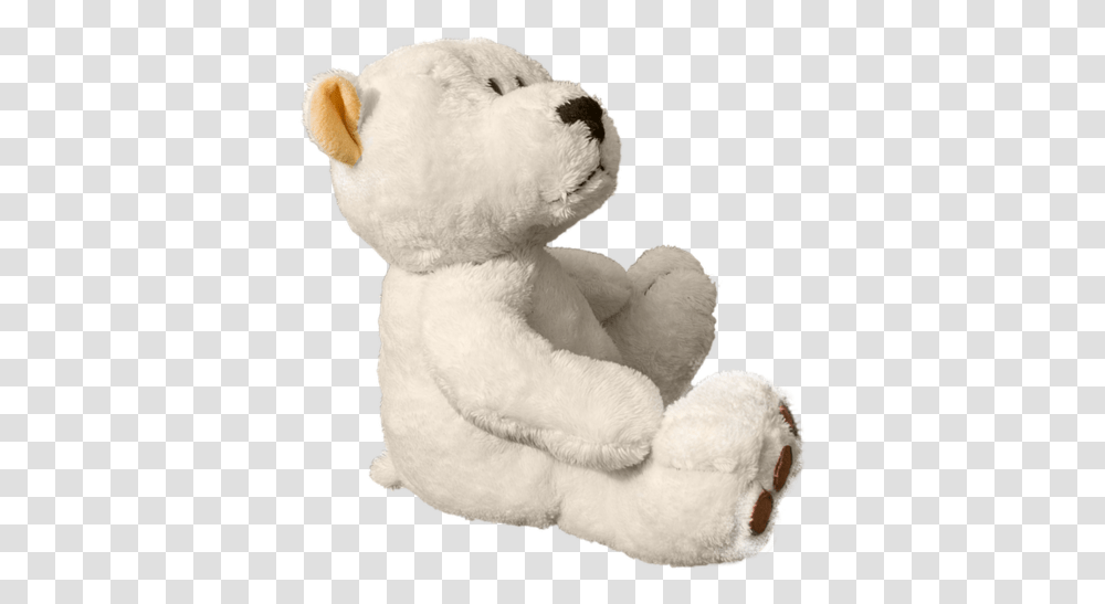 White Teddy Bear, Plush, Toy Transparent Png