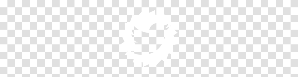 White, Texture, White Board Transparent Png