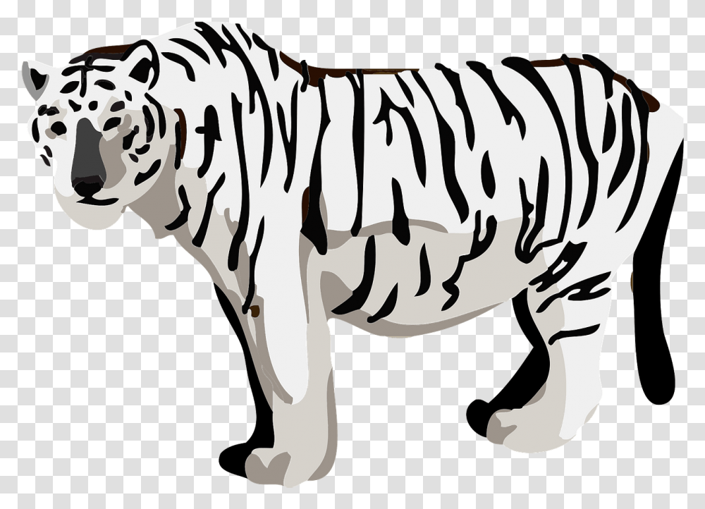 White Tiger Animal Clipart Free Download Creazilla Tiger, Mammal, Dinosaur, Reptile, Zebra Transparent Png