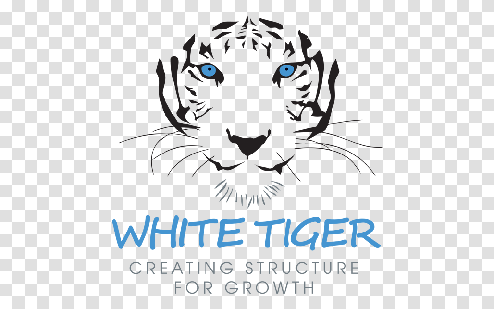 White Tiger Christmas White Tiger, Panther, Wildlife, Mammal, Animal Transparent Png