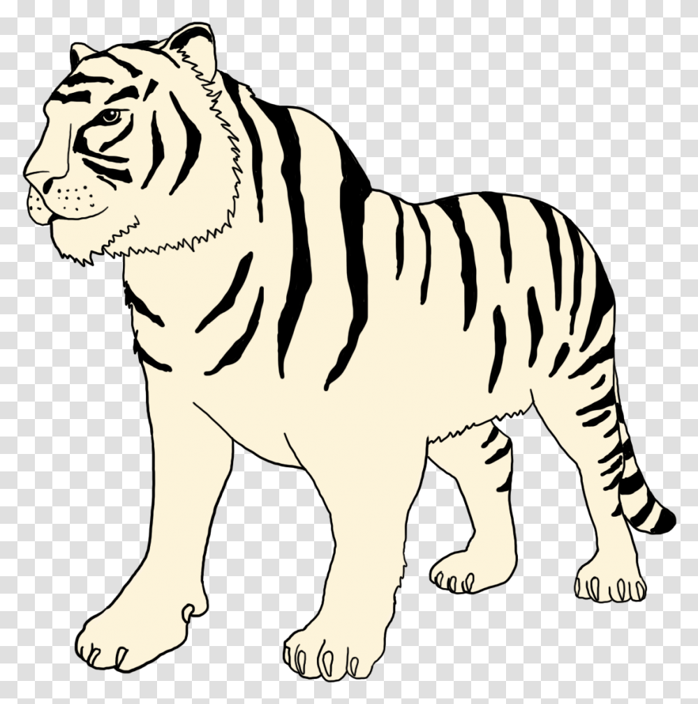 White Tiger Clipart Bengal Tiger, Wildlife, Mammal, Animal, Pet Transparent Png