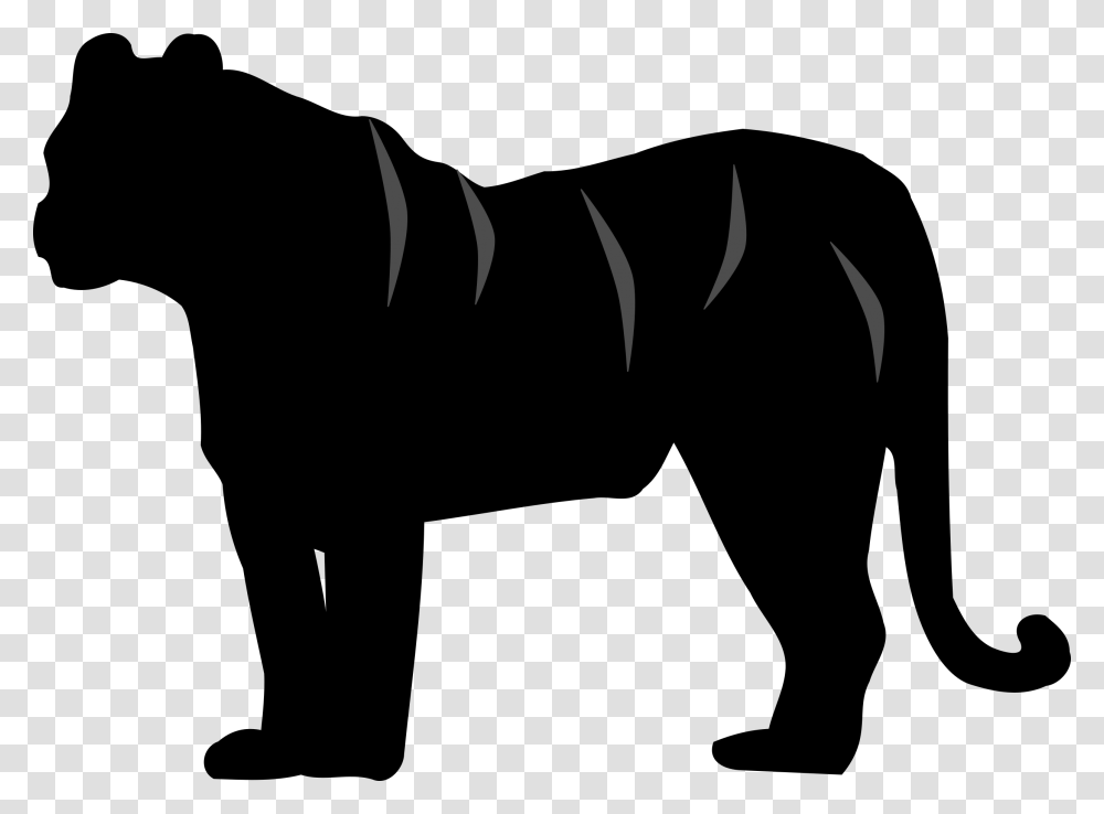 White Tiger Felidae Silhouette Cat Silhouette Tiger Clipart Black And White, Outdoors, Nature Transparent Png