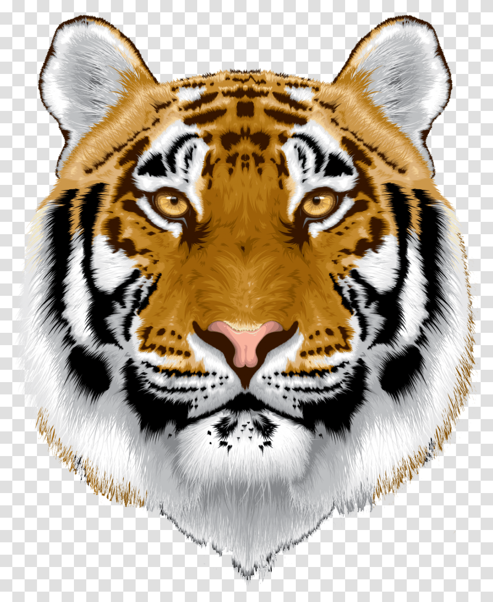 White Tiger Head Tiger, Wildlife, Mammal, Animal, Panther Transparent Png
