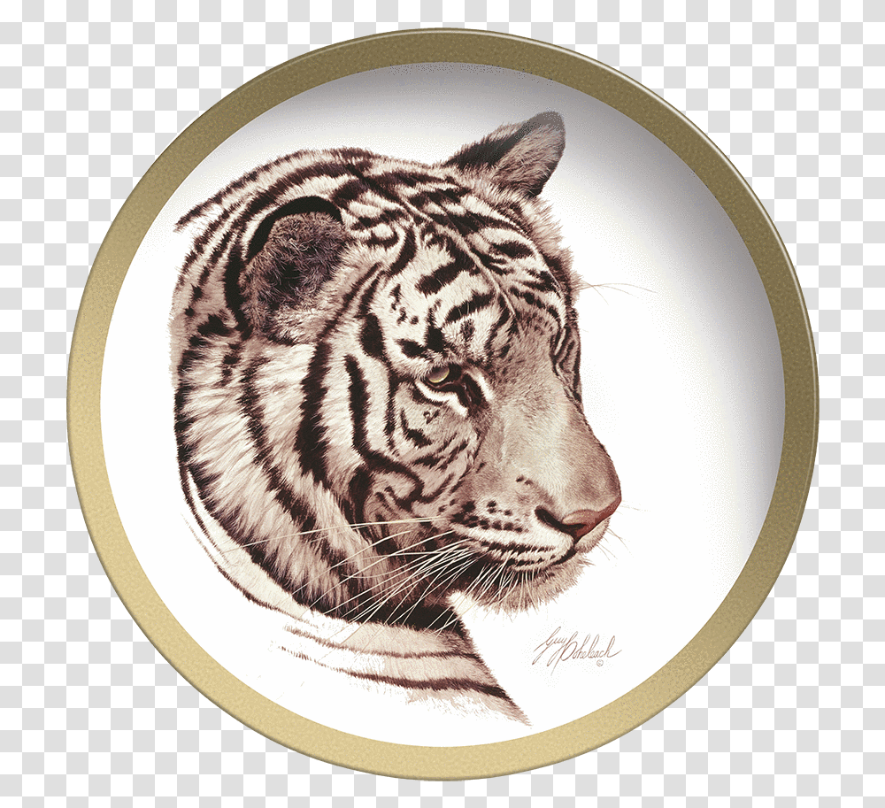 White Tiger Head, Wildlife, Mammal, Animal, Panther Transparent Png