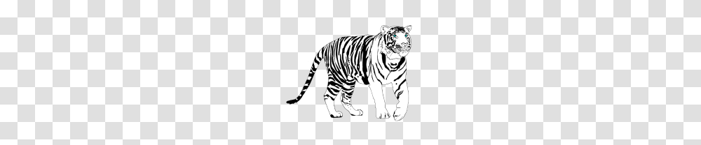 White Tiger, Wildlife, Mammal, Animal, Zebra Transparent Png