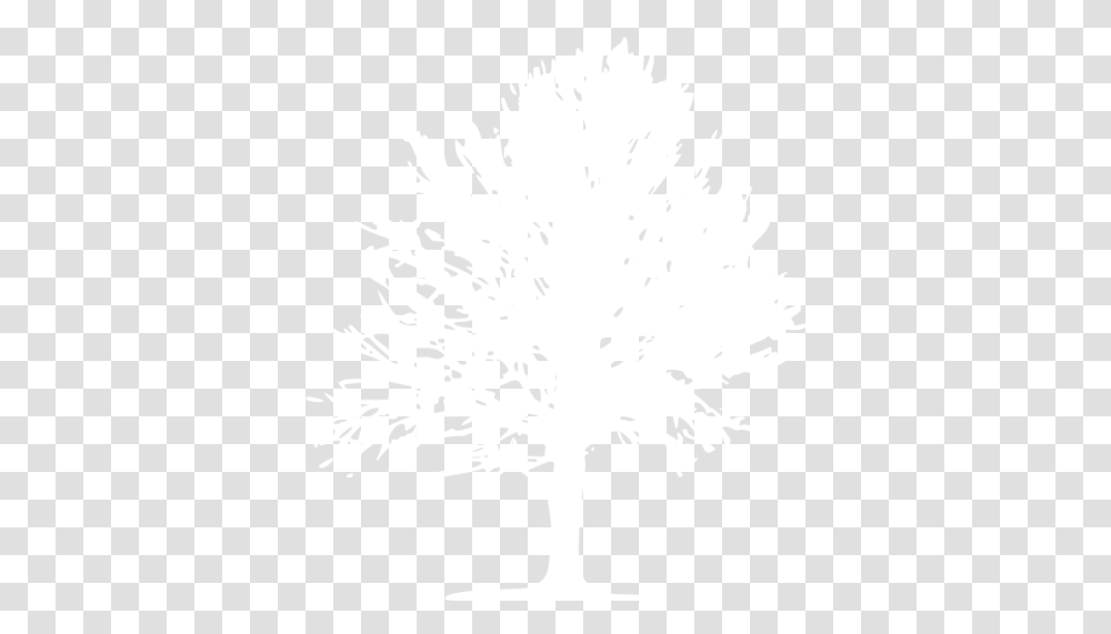 White Tree 18 Icon Sketch, Stencil, Plant, Snowflake, Christmas Tree Transparent Png