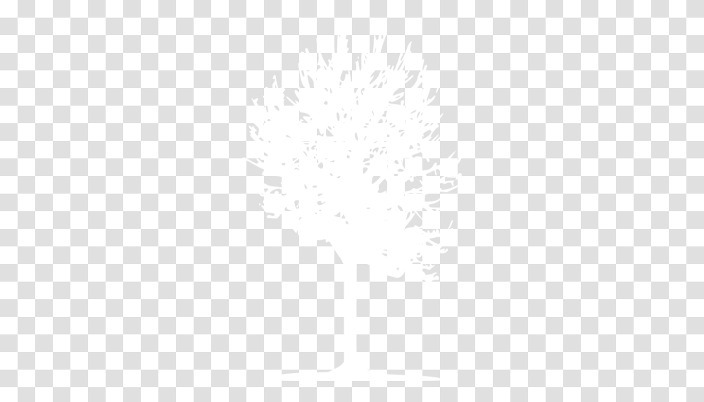 White Tree 2 Icon White Tree Icon, Stencil, Plant, Art, Drawing Transparent Png