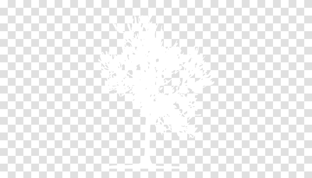 White Tree 23 Icon Trafico De Flora Y Fauna, Graphics, Art, Stencil, Drawing Transparent Png