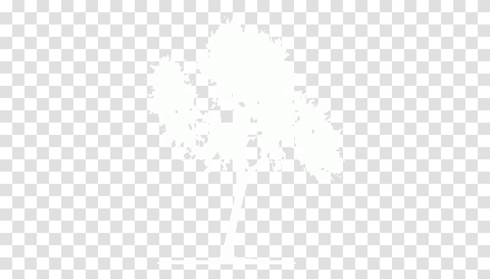 White Tree 33 Icon Free White Tree Icons Language, Stencil, Pattern Transparent Png