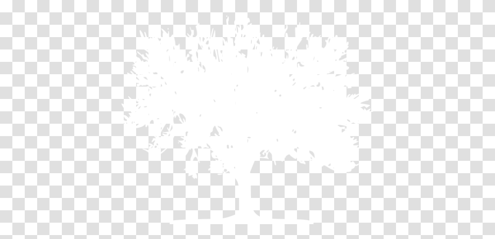 White Tree 59 Icon Art, Stencil, Bird, Animal, Plant Transparent Png