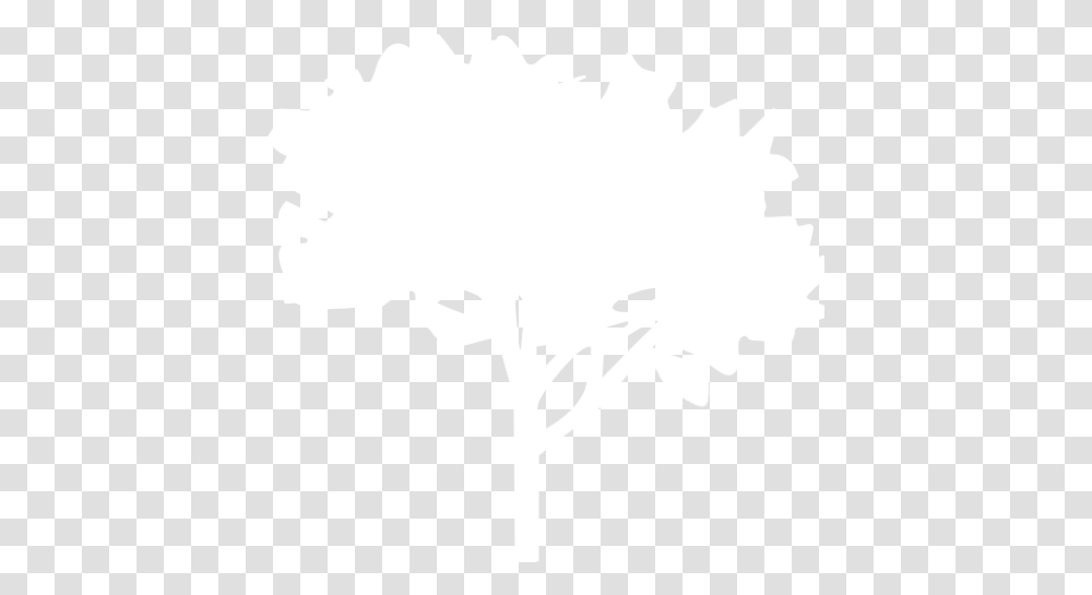 White Tree 60 Icon Trees White Icon, Plant, Stencil, Flower, Blossom Transparent Png