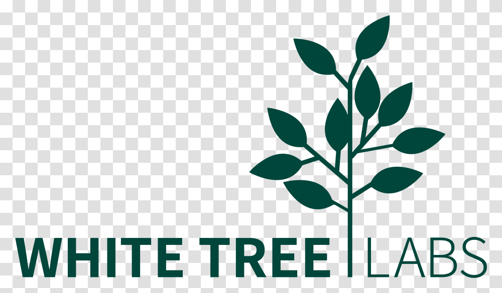 White Tree Labs Dissing Weitling Architecture Logo, Leaf, Plant, Green, Flower Transparent Png