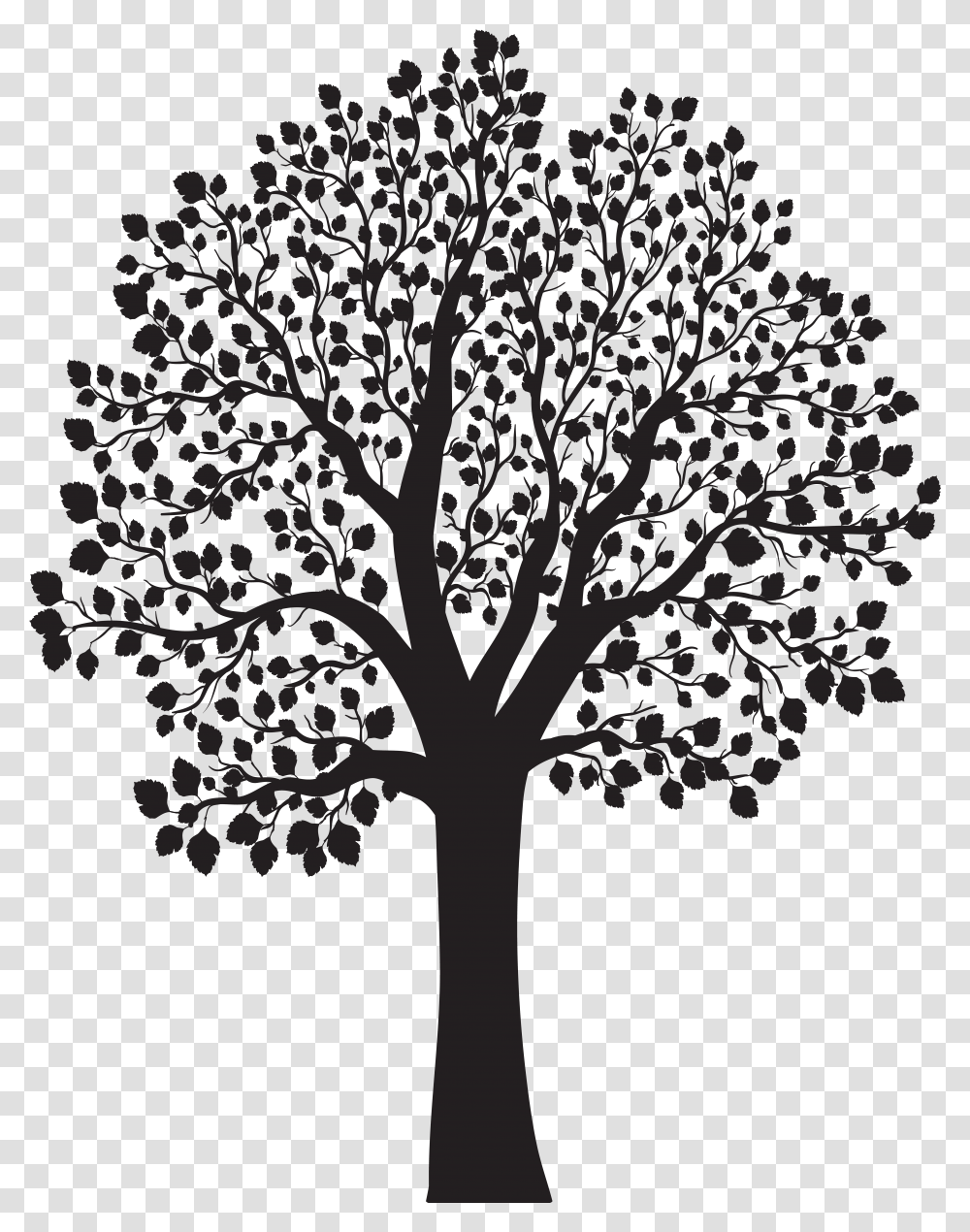 White Tree, Plant, Cross, Oak Transparent Png