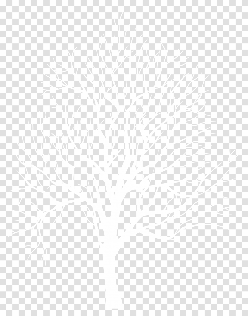 White Tree Silhouette Download White Tree Silhouette Background, Stencil, Pattern, Plant Transparent Png