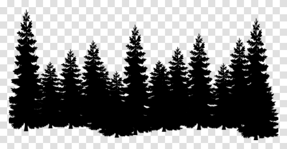 White Tree Silhouette, Gray, World Of Warcraft Transparent Png