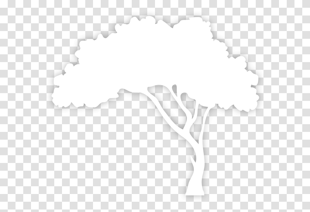 White Tree Silhouette, Stencil, Person, Human, Cupid Transparent Png