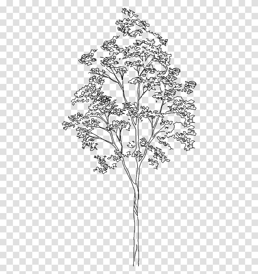 White Tree Silver Birch Tree Cad, Gray, World Of Warcraft Transparent Png
