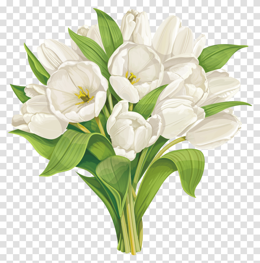 White Tulip Flower Vector, Plant, Blossom, Flower Bouquet, Flower Arrangement Transparent Png