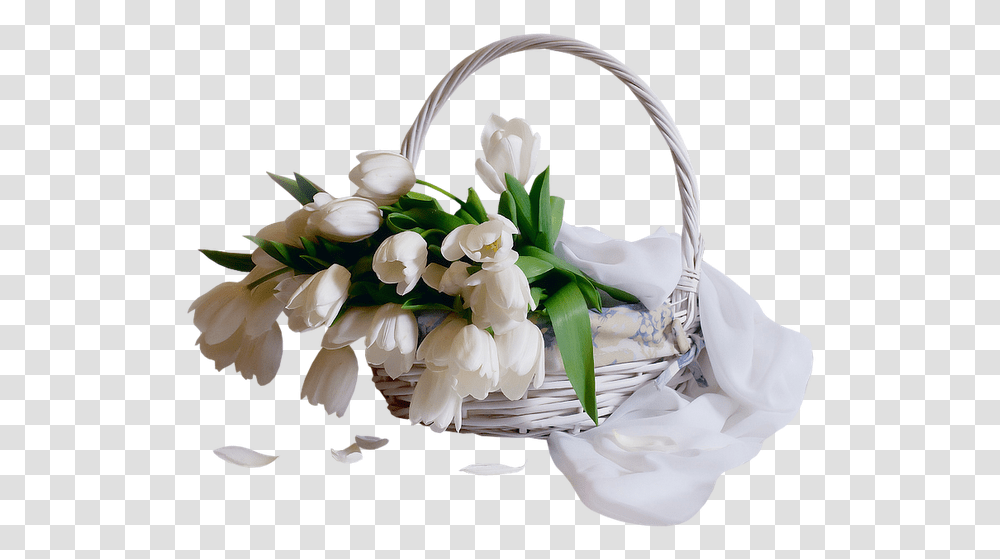 White Tulips Basket, Plant, Flower, Blossom, Flower Arrangement Transparent Png