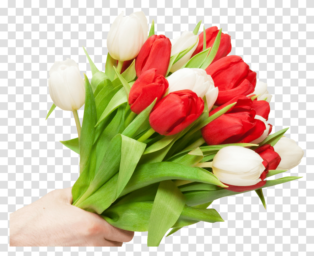 White Tulips Bouquet Free Flowers For Love Ones, Plant, Flower Bouquet, Flower Arrangement, Blossom Transparent Png