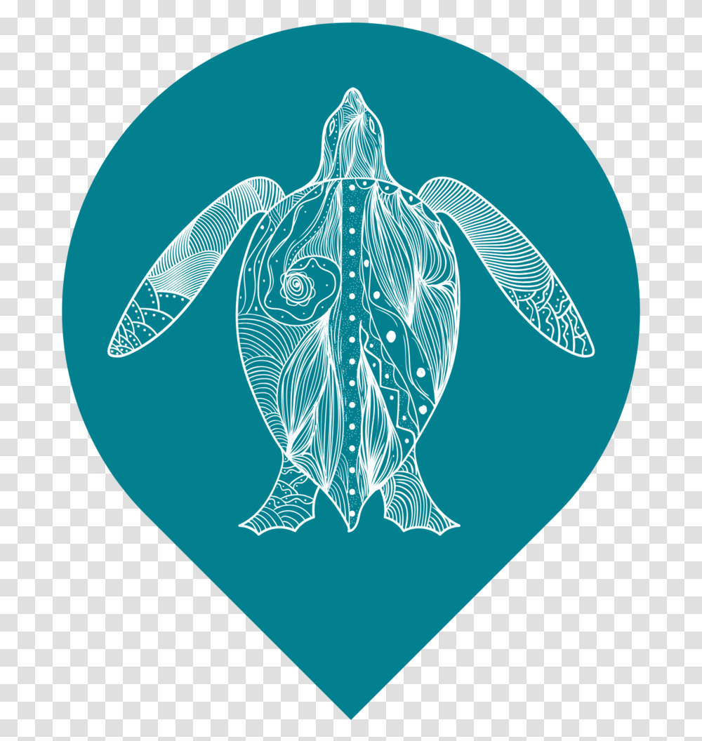 White Turtle Events Turtles, Plectrum, Animal, Art, Sea Life Transparent Png