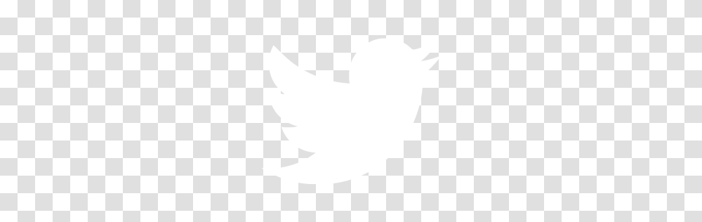 White Twitter Icon, Leaf, Plant, Bird Transparent Png