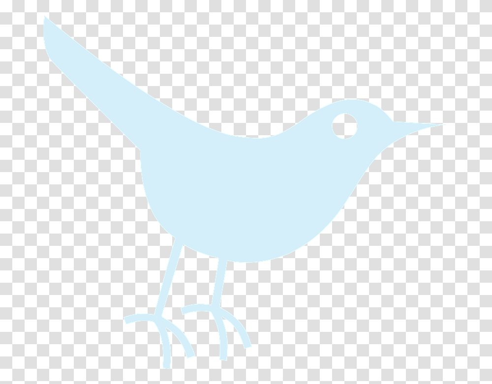 White Twitter Icon Social Media, Animal, Bird, Sea Life, Reptile Transparent Png